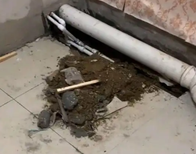 常德市卫生间漏水检测哪家好